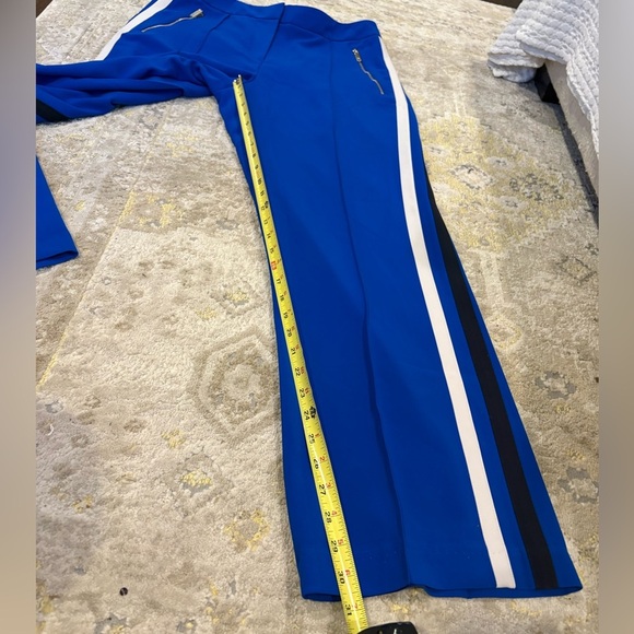 Ted Baker London Blue Stripe Pants - Picture 13 of 14